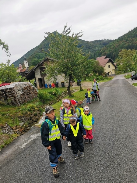 kategorija Dan v gozdu